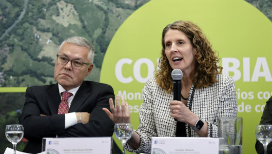 Cultivos de coca en Colombia volvieron a romper récord con 230.000 hectáreas en el 2022