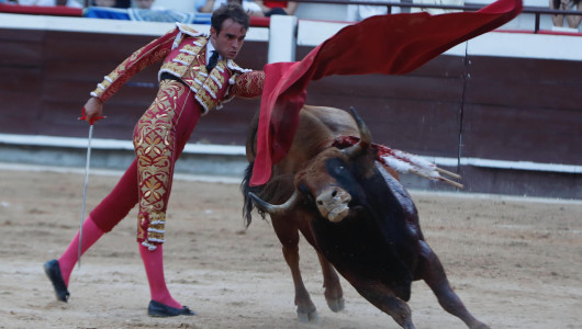 Adiós sin trofeos en la Feria Taurina de Cali