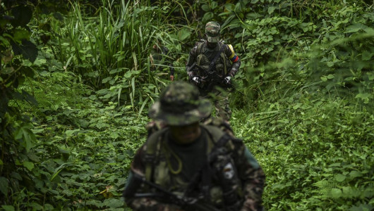 Capturan a 11 guerrilleros de disidencias de las Farc