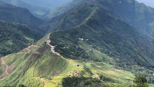 Mueren cinco niños indígenas por supuestamente consumir frutos venenosos en el Cesar
