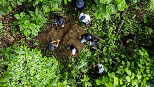 Recuperan dos cuerpos de víctimas de desaparición forzada de hace 30 años en Apartadó
