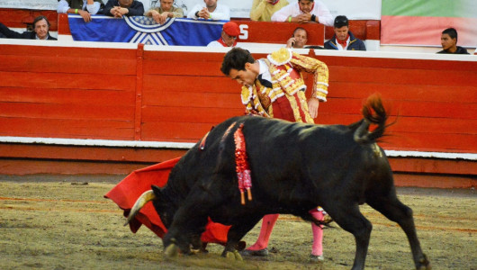 Llega el día definitivo para el proyecto que busca prohibir la tauromaquia en Colombia