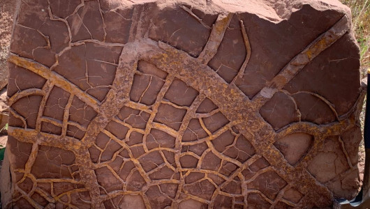 La FAO alerta de la "inminente" amenaza de La Niña para la seguridad alimentaria mundial