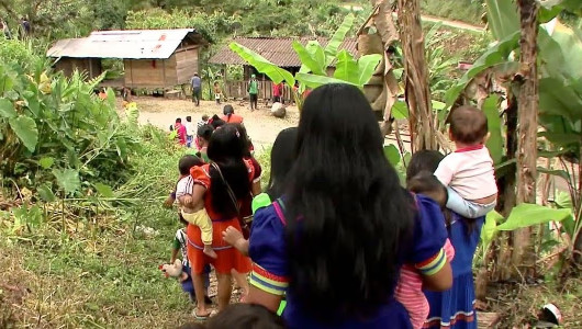 El Clan del Golfo secuestra a cinco mujeres indígenas, tres de ellas menores, en el Chocó