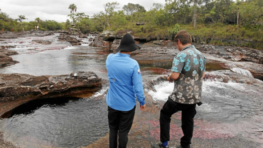 COP16 es "oportunidad para mejorar protección de defensores ambientales" en Colombia: ONU