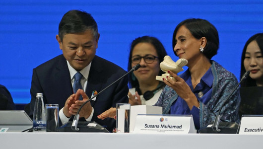 Minambiente asume la presidencia de la COP16 y pide “no distraerse”