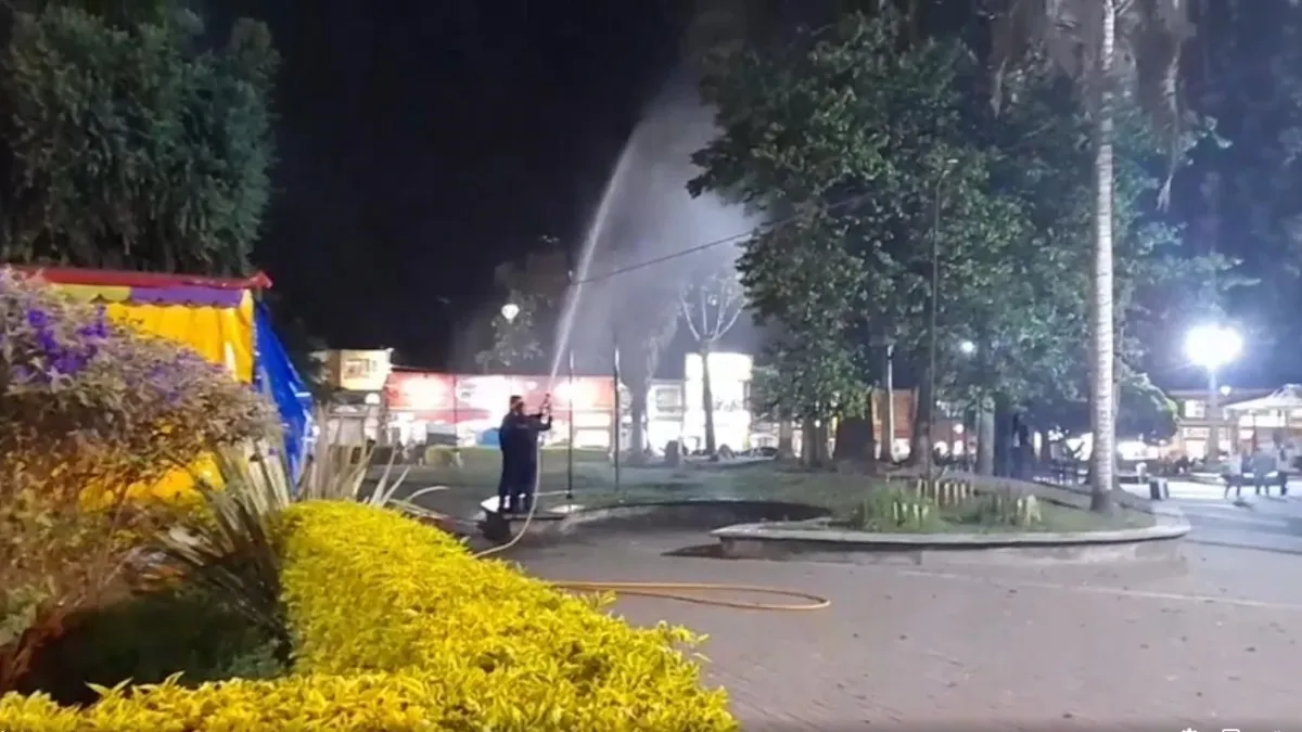 Los bomberos de Villamaría practicaron el martes por la noche una brigada para ahuyentar las garzas del Parque de Bolívar. 