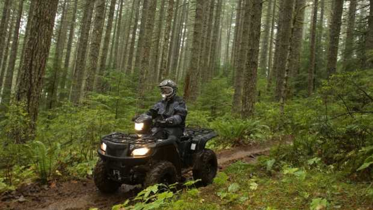 Persona montando en cuatrimoto por un bosque.