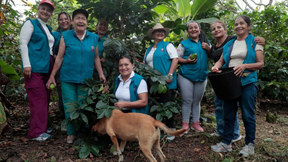 Integrantes de la Asociación de Mujeres Caficultoras de Viotá y Tequendama (Asomucavit), 