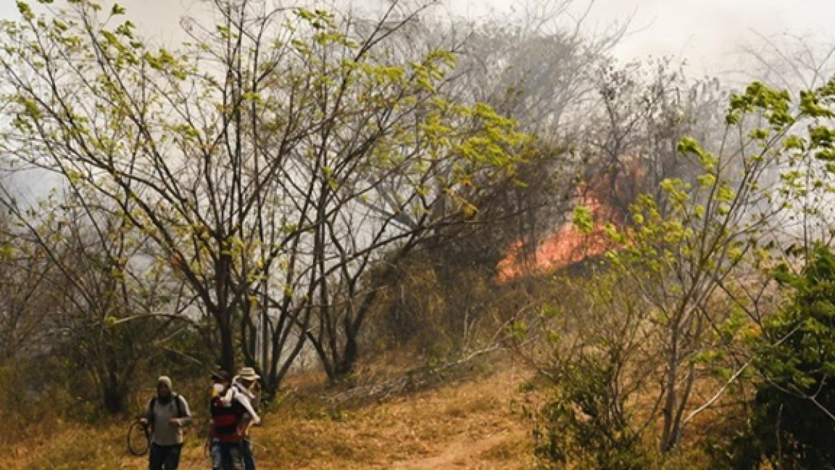 Foto | Gobernación de Tolima | LA PATRIA