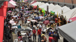 El Colegio Santa Inés festeja con su patrono: San Francisco de Asís