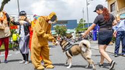 Alcaldía de Manizales desarrolla el programa Familia Movilidad en la ciclovía