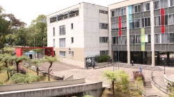 Fallo de la Procuraduría: suspensión a exfuncionaria de la U. de Caldas por acoso laboral 