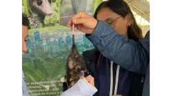 Por visita de zarigüeyas, en el Instituto Chipre se educan sobre la fauna silvestre 