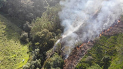 Incendios forestales: más fácil prevenirlos que apagarlos