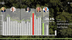 La deforestación en Colombia se redujo en el 2022