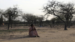 El fenómeno de El Niño y el cambio climático amenazan de muerte al pueblo wayúu