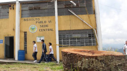 Colegio Pablo VI, de Manizales, hace exigencias luego de la caída un árbol 