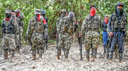 El Eln pide a la mesa de diálogos prudencia al hablar sobre el cese al fuego