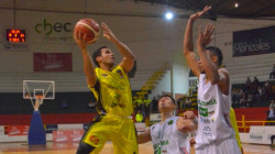 ¿Cuánto gana un jugador de baloncesto en Colombia? Conozca los salarios promedio