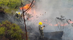 Incendios forestales activos en Colombia ya son 31: afectan a 9 departamentos y a Bogotá