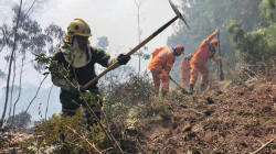 Gobierno declarará desastre natural por incendios y sequías provocadas por El Niño