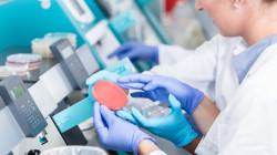 ¿Cuánto gana un bacteriólogo en Colombia? Conozca su salario promedio en 2024