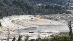 Colombia suspende suministro de energía a Ecuador y Petro lamenta apagones en ese país