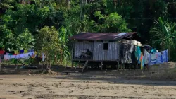 Colombianos siguen siendo afectados por el conflicto pese a diálogos de paz, según AI