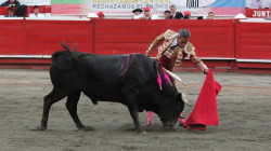 Voces caldenses, en el debate contra las corridas de toros en Colombia