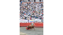 El paso por seguir en Manizales tras la prohibición de las corridas de toros en Colombia