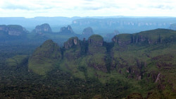 Fiscalía ejecuta intervención judicial contra deforestación en el Parque Chiribiquete