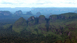 Fiscalía encuentra laboratorio de coca en el Parque Natural Chiribiquete en Guaviare
