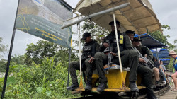 Las 'brujitas', una aventura sobre rieles para conocer la naturaleza de Colombia