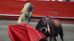 Corridas de toros: Corte Constitucional ya tiene la demanda contra la ley que las prohíbe