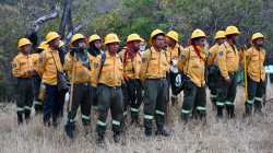 Bomberos de Riosucio (Caldas), exaltados por su labor contra incendios en Tolima