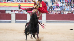 El torero peruano Roca Rey recibe cornada en su primer toro en la Feria de Otoño de Madrid