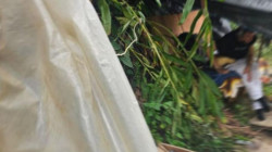 Cambuches encierran inseguridad en el barrio Los Álamos de Manizales