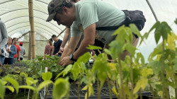 La Huerta, el espacio en que "neocampesinos" colombianos apuestan por turismo sostenible