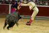 Corridas de toros en la Feria de Cali continúan sin menores