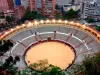 Corte Constitucional ordena reanudar corridas de toros en Bogotá